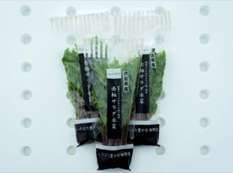 赤軸サラダ水菜